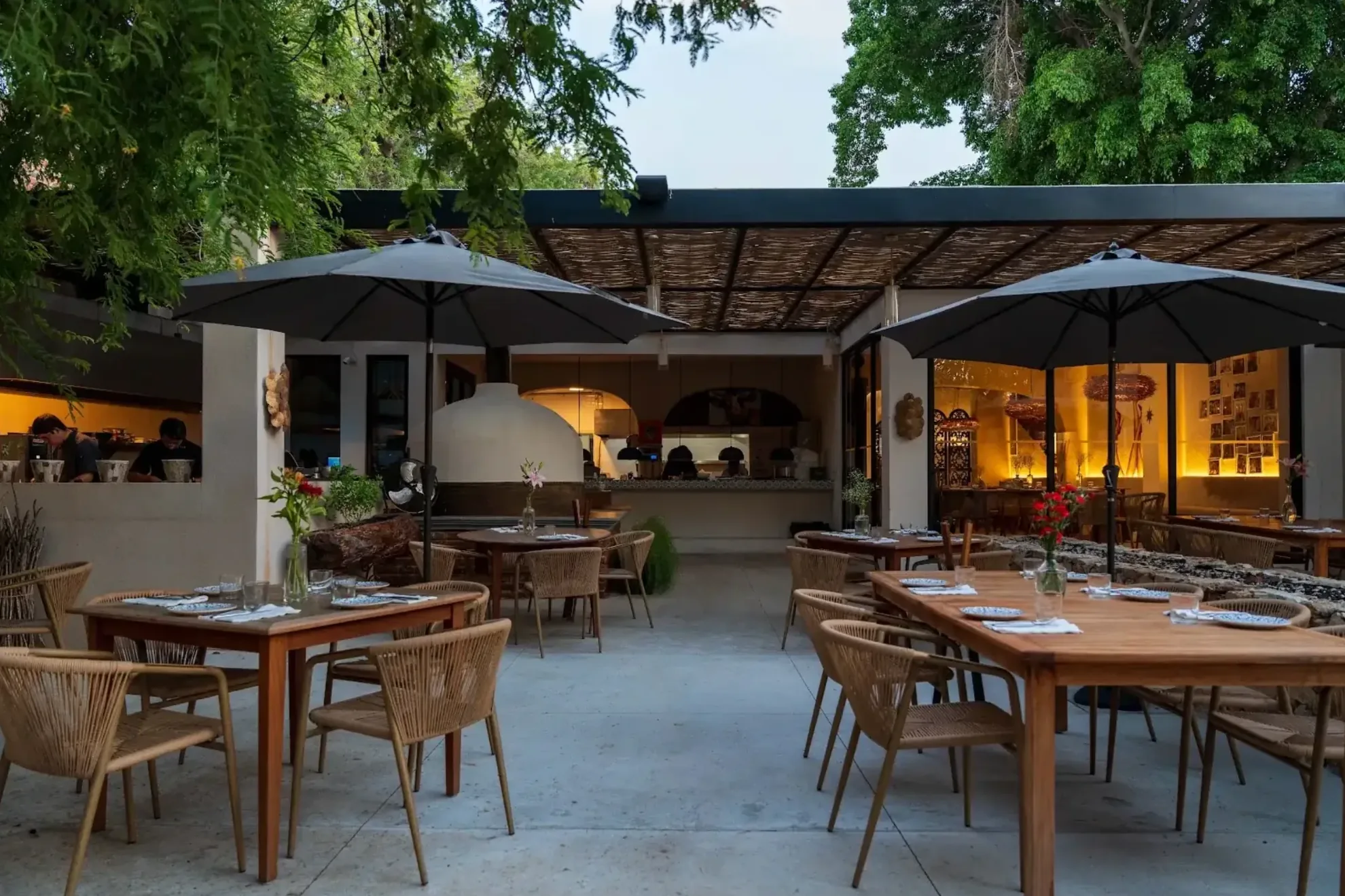 Terraza bajo el árbol de tamarindo centenario en Cádiz
